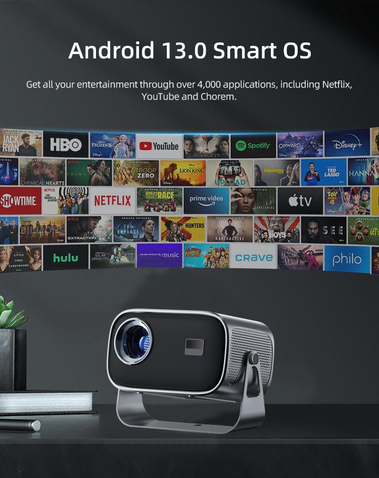 Projector & Accessories