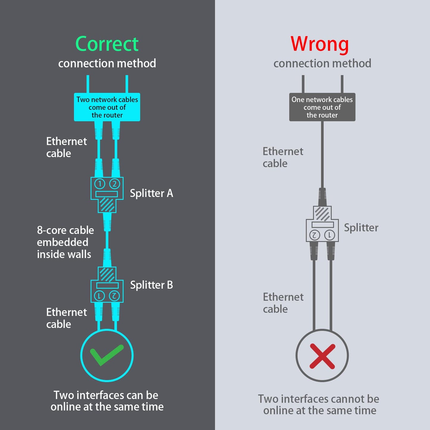 SP-Rj-45 Lan Jointer (1X2) | RJ45 Ethernet Splitter, Female to 2 Female 8P8C Network Plug LAN Coupler( PAIR)